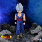 Preview: Son Gohan Beast - Dragon Ball Super: Super Hero - Solid Edge Works Vol. 14 - Banpresto