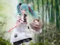 Preview: Hatsune Miku - Panda Bun - S-Fire - Sega