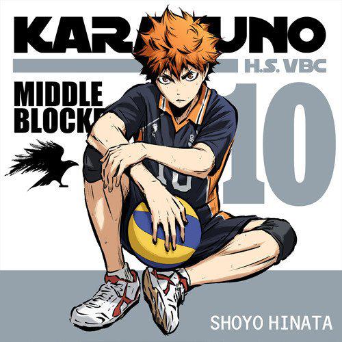 Preview: Hinata Shoyo - Haikyuu Kissenbezug