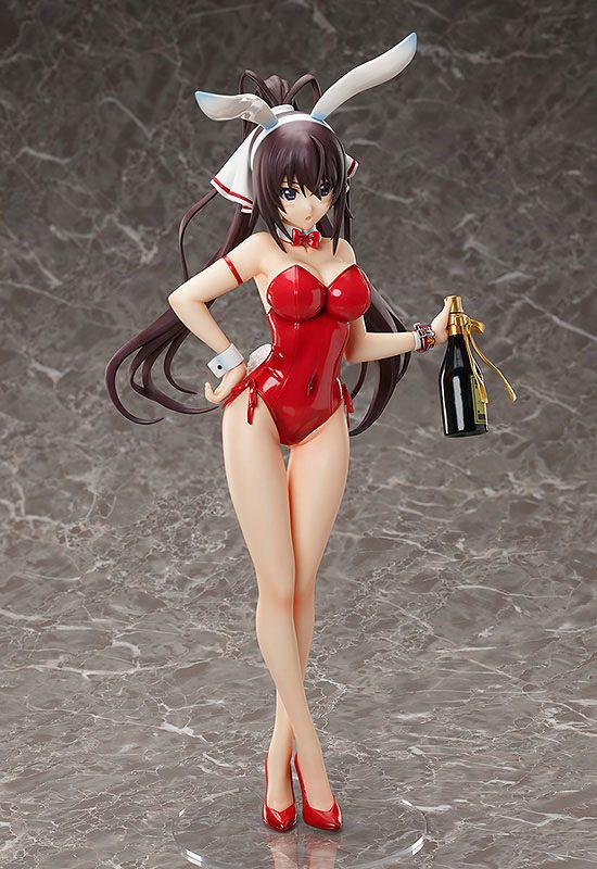 Preview: Houki Shinonono- 1/4 B-Style Bunny - Bare Leg - FREEing