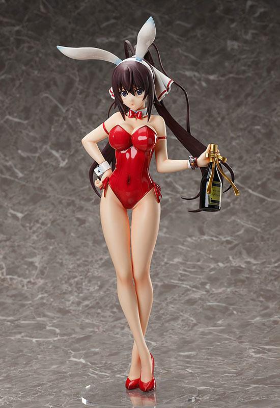 Preview: Houki Shinonono- 1/4 B-Style Bunny - Bare Leg - FREEing