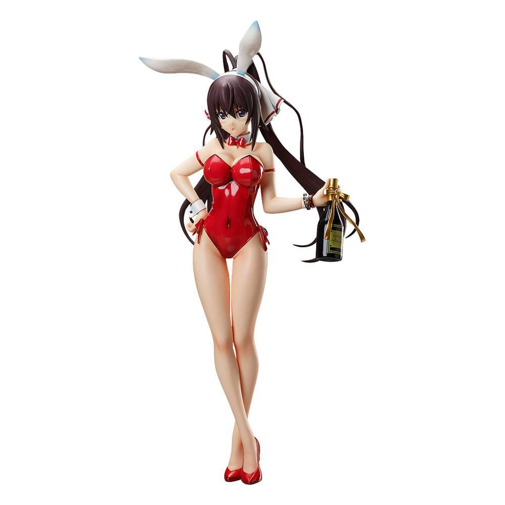 Preview: Houki Shinonono- 1/4 B-Style Bunny - Bare Leg - FREEing