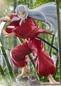 Preview: Inuyasha - Statue 1/7 - Proof