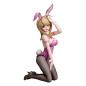 Preview: Kaede Akamatsu - 1/4 B-Style Bunny - FREEing