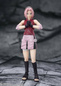 Preview: Sakura Haruno - Inheritor of Tsunade's indominable will - S.H. Figuarts - Bandai Spirits