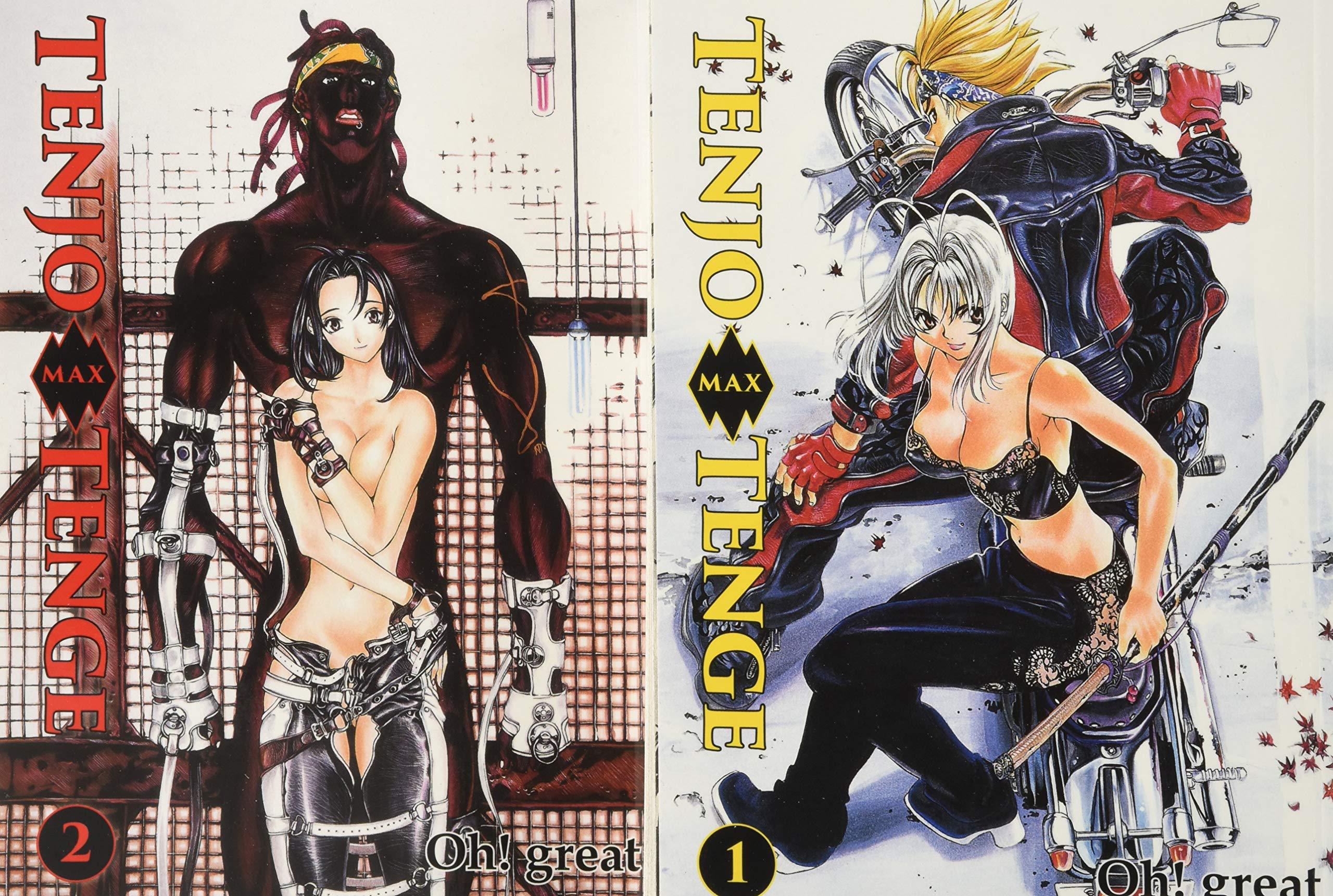 Preview: Tenjo Tenge Max - Panini - Band 1 + 2 - Starter-Spar-Pack