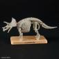 Preview: Triceratops - Plannosaurus - Model Kit - Bandai Spirits