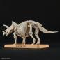 Preview: Triceratops - Plannosaurus - Model Kit - Bandai Spirits