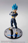 Preview: Vegeta - Super Saiyajin Blue - 15th Anniversary - S.H. Figuarts