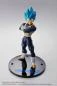 Preview: Vegeta - Super Saiyajin Blue - 15th Anniversary - S.H. Figuarts