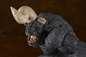 Preview: Zodd - L - Berserk Pop Up Parade - Max Factory