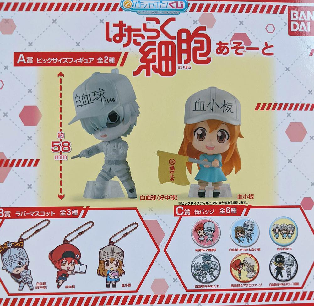 Preview: Lucky Box - Cells at Work! - Ichiban Kuji - Gashapon