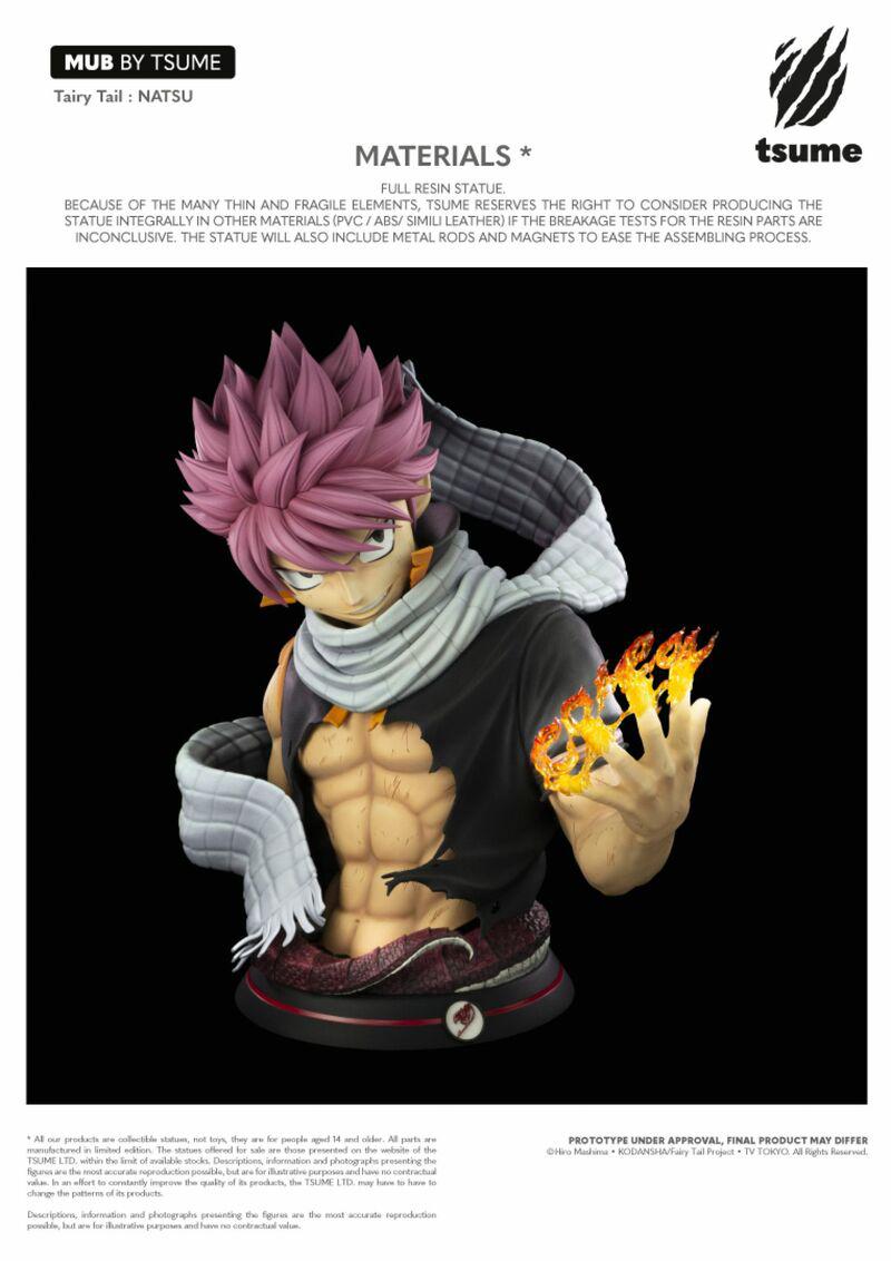 Preview: Natsu Dragneel - My Ultimate Bust - Tsume