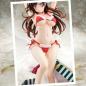 Preview: Chizuru Mizuhara - Santa Bikini 2nd Xmas - Hakoiri Musume