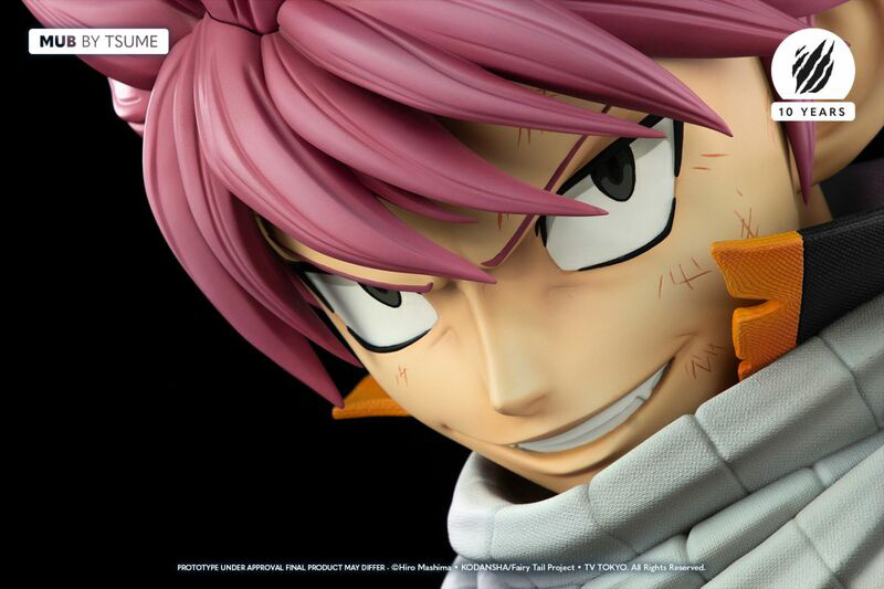 Natsu Dragneel - My Ultimate Bust - Tsume