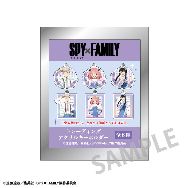 Lucky Box - Spy x Family - Acrylanhänger (Link Coordinate) - Kamio Japan