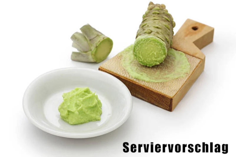 Wasabi Paste von Natures Best Harvest