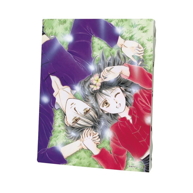 Miaka und Tamahome - Fushigi Yuugi - Leinwanddruck - Canvas