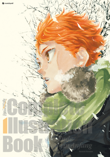 Haikyu!! - Crunchyroll - Complete Illustration Book - Ein Ende und Ein Anfang