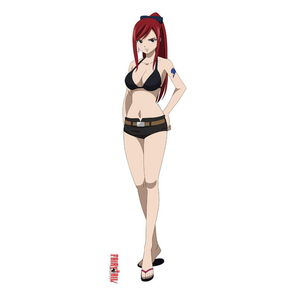 Erza Scarlet - Fairy Tail - Dakimakura Kissenbezug - Sakami Merchandise