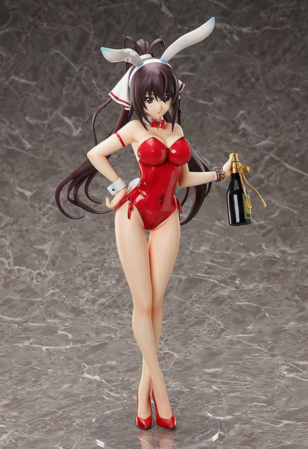 Houki Shinonono- 1/4 B-Style Bunny - Bare Leg - FREEing