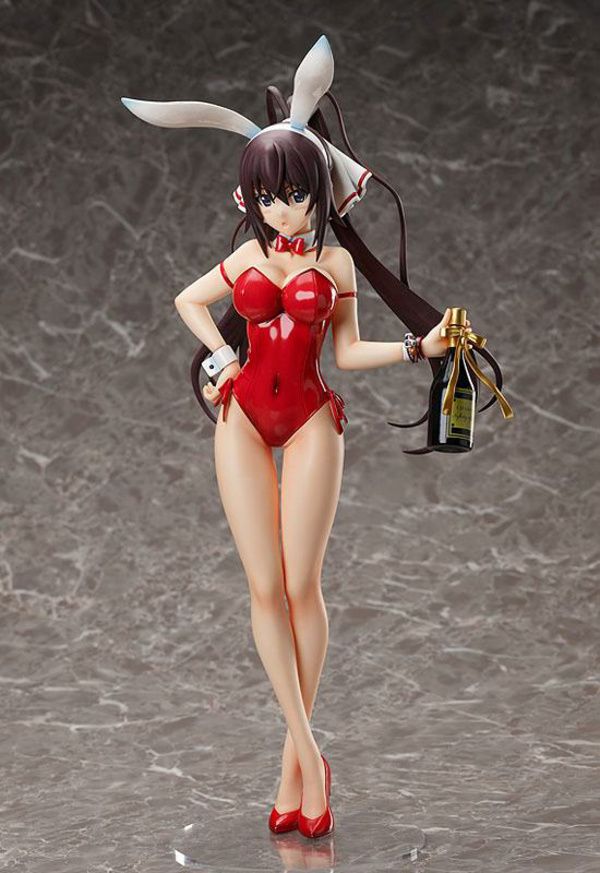 Houki Shinonono- 1/4 B-Style Bunny - Bare Leg - FREEing