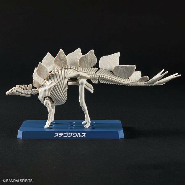 Stegosaurus (Tentative) - Plannosaurus - Model Kit - Bandai Spirits