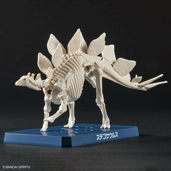 Stegosaurus (Tentative) - Plannosaurus - Model Kit - Bandai Spirits