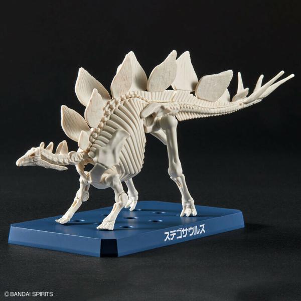 Stegosaurus (Tentative) - Plannosaurus - Model Kit - Bandai Spirits